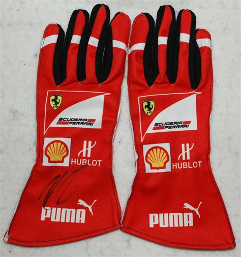 formula 1 driving gloves.